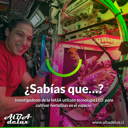 Investigadores de la NASA utilizan tecnología LED  para cultivar hortalizas en el espacio.