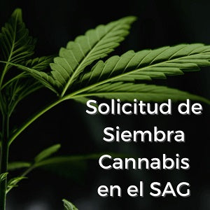 Solicitud siembra legal de cannabis (SAG)